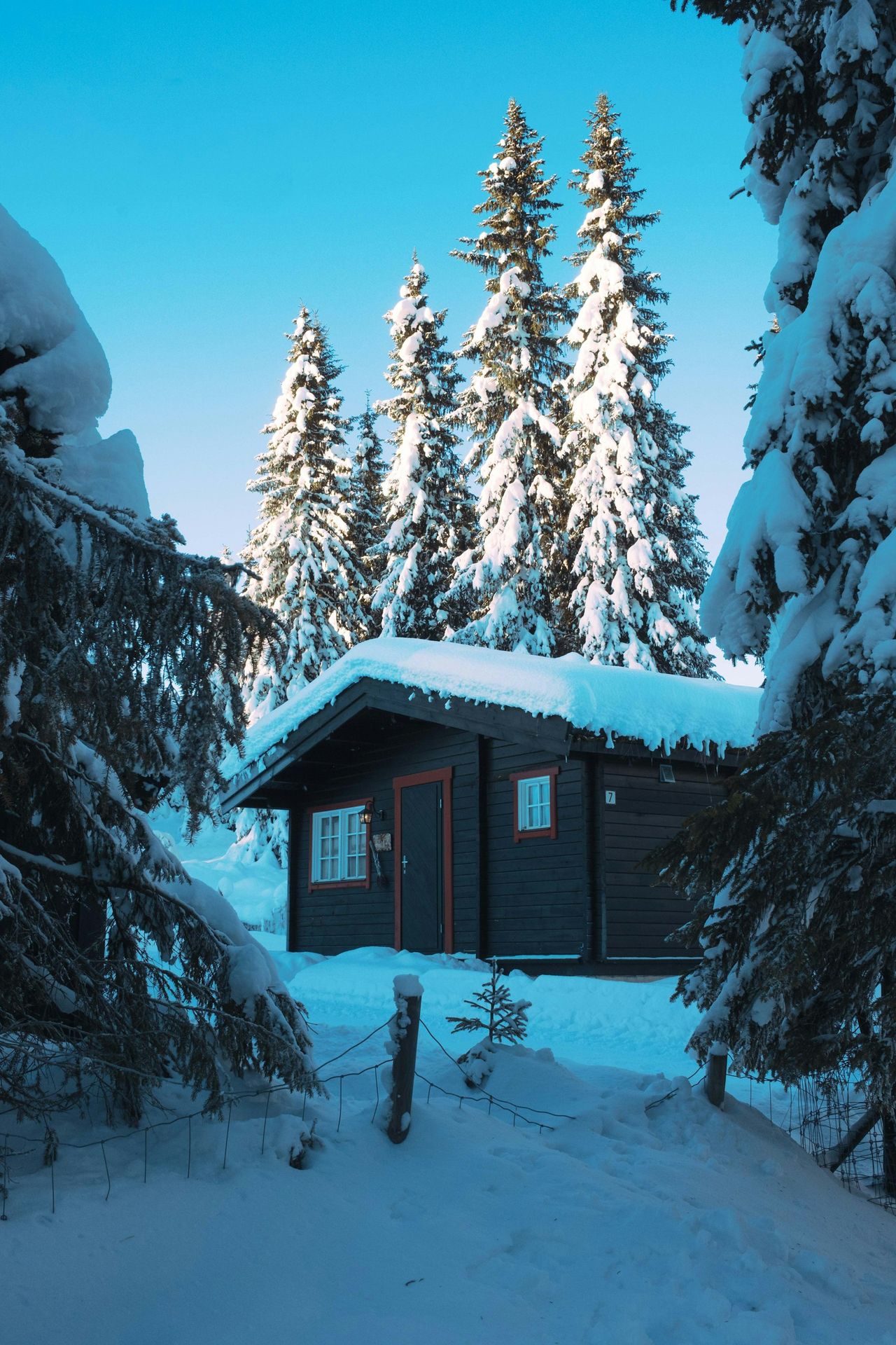a cabin in the woods covered in snow
